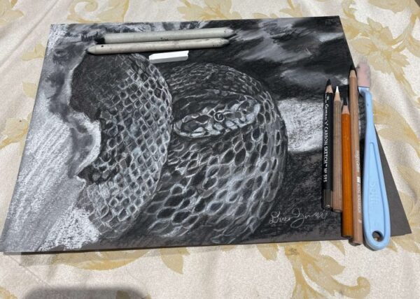 Charcoal snake